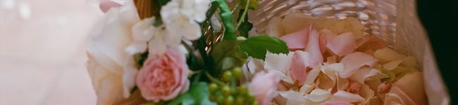ぶりゅん's header image