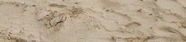 ____kntr's header image