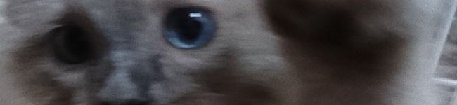 家のレシピ's header image