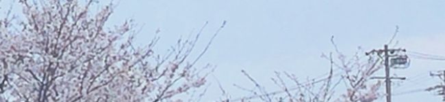 みゆ©ママ's header image