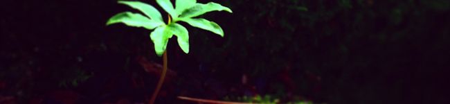 友チャン's header image