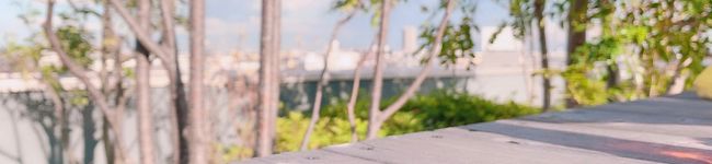 白玉ちゃん。's header image