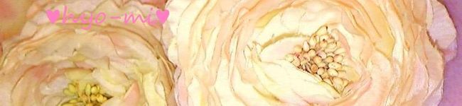 ☆ひょーみ☆'s header image