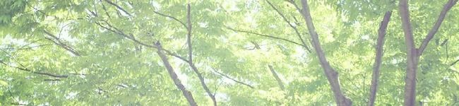 ケコハル's header image