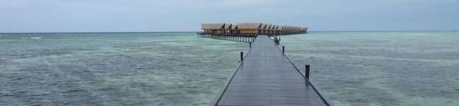 coco_coco's header image