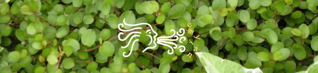 emyian's header image