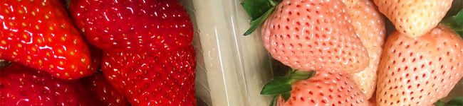 柴田☆'s header image