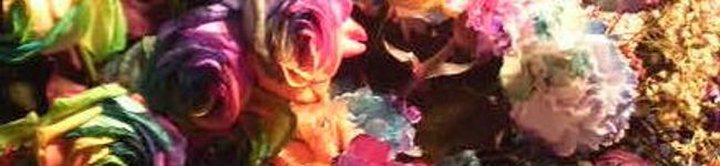 ☆ゆいポ☆'s header image