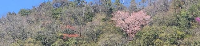 にゃつよBT's header image