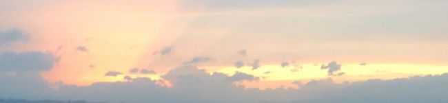 c_cha‪‪‪︎'s header image