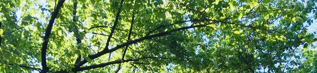 kaolin87's header image