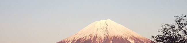 リーマン食研's header image