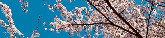 AGOMI☆'s header image