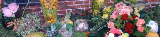 rosy rosy's header image
