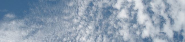 noneed's header image