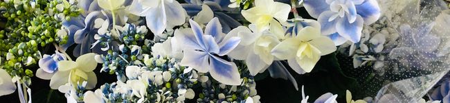 さすらいの調理師★'s header image