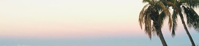 Chii＊lani's header image