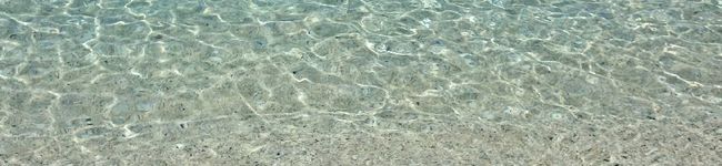 questy's header image