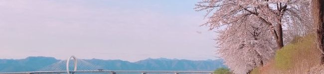 ゐーちゃん's header image
