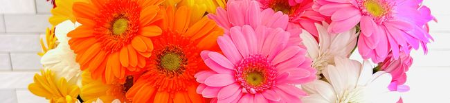 ☆モンブラン♪'s header image