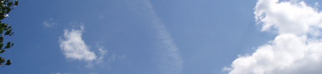 Timmytime's header image