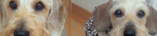 むらりんりん's header image