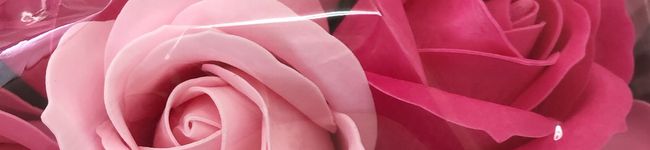 ☆Patora☆✩'s header image