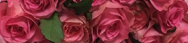 sakieiyou's header image