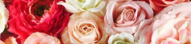 ＊sachi＊'s header image