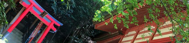特濃煉乳's header image