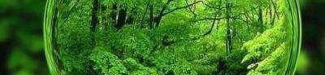 klee77's header image