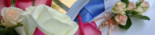 chiehenrik's header image