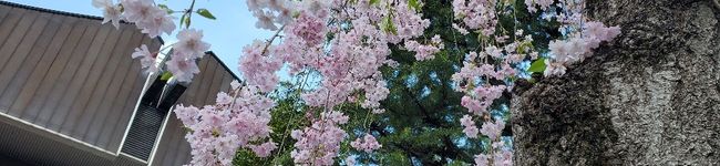5884！'s header image