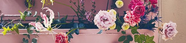 sa♡color's header image