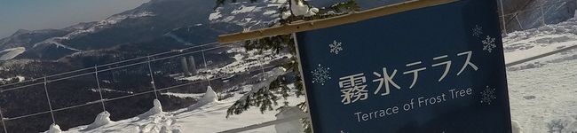 ■かしわさん■'s header image