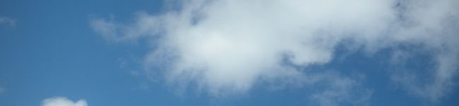 ニャオキチ's header image