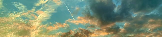 shingo_23's header image