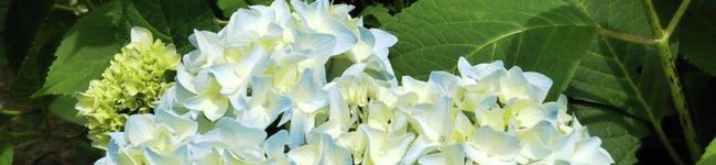 適量厨房's header image