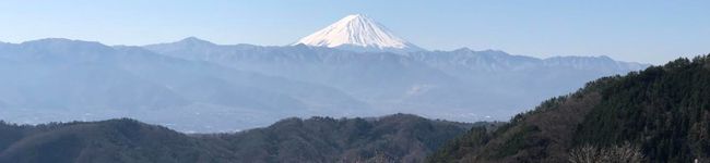 料理で脳を活性化する's header image