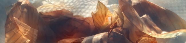 Y’sCooking's header image