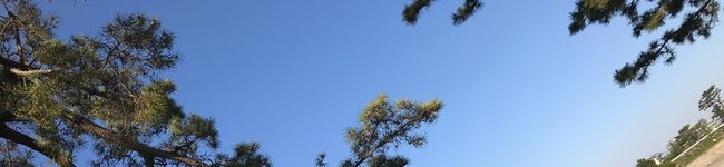 関西のおかん。's header image