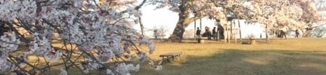 クックNOPUPS☆'s header image