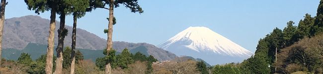 hirari918's header image