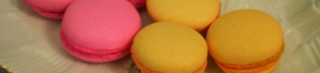 ミルミトン's header image