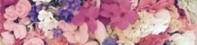 may13coco's header image