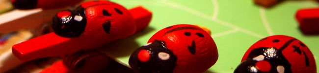 pinoparu's header image