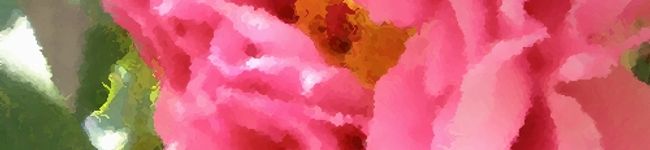 ゆみ助's header image