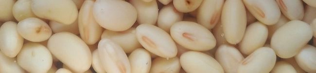 LittleHint's header image