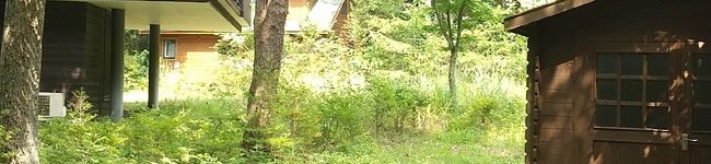 臭い犬's header image