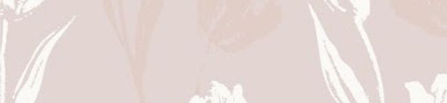 琉__'s header image